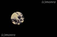 Mond und STerne_MOR012