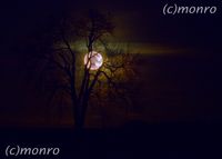 Mond und STerne_MOR017